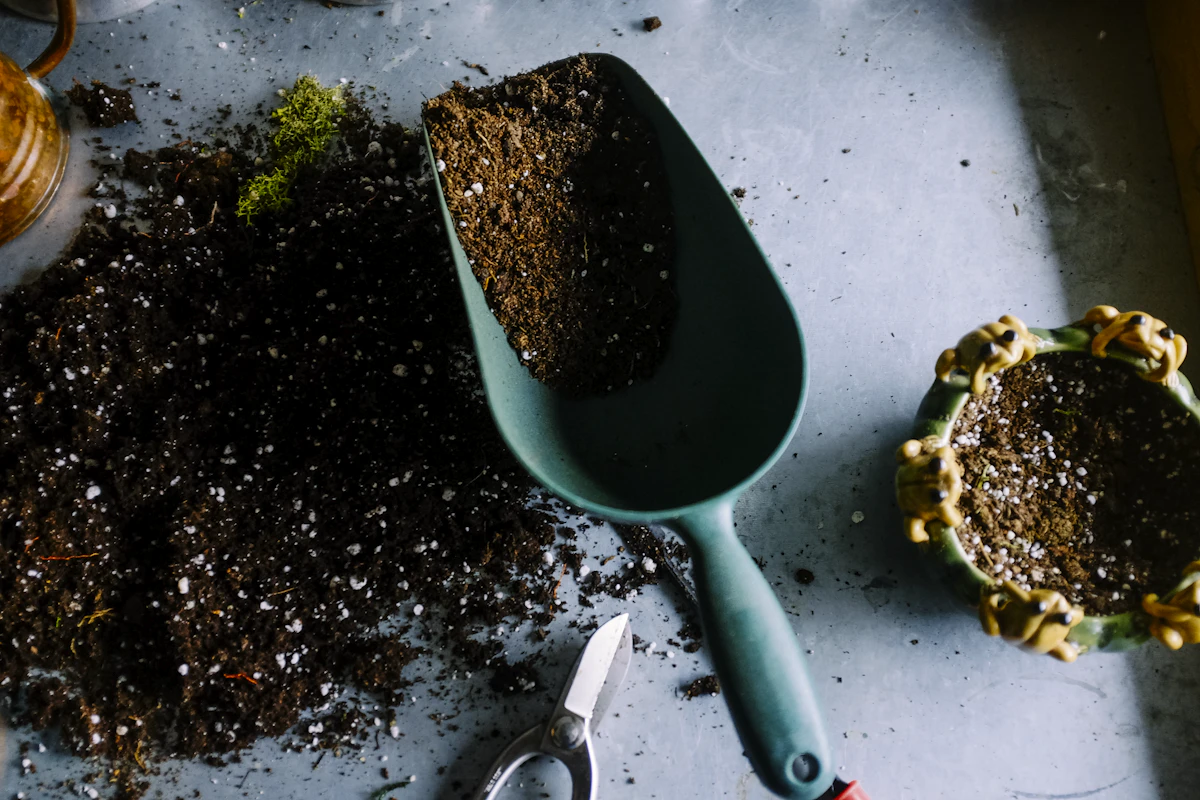 Companion Planting Strategies for Natural Pest Control